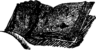 Аойя rsl01002921844__088.png
