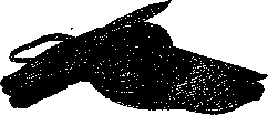 Аойя rsl01002921844__092.png