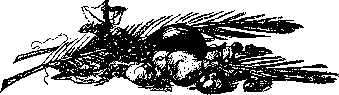 Аойя rsl01002921844__099.png