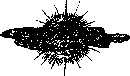 Аойя rsl01002921844__113.png