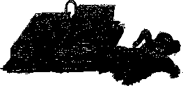 Аойя rsl01002921844__010.png