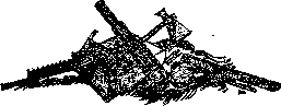 Аойя rsl01002921844__012.png