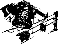 Аойя rsl01002921844__015.png