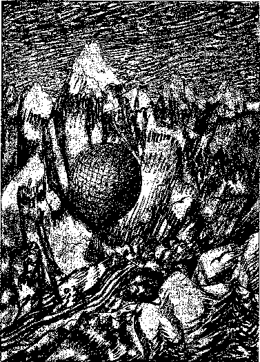 Аойя rsl01002921844__018.png