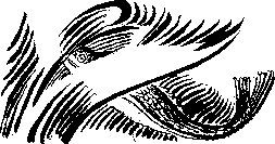 Аойя rsl01002921844__023.png