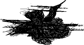 Аойя rsl01002921844__028.png