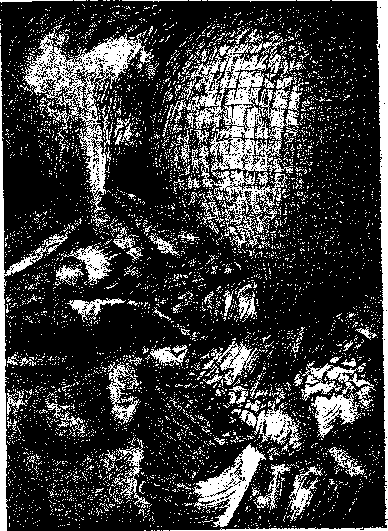 Аойя rsl01002921844__030.png