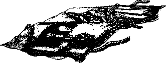 Аойя rsl01002921844__036.png