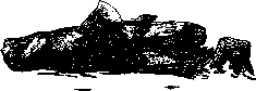 Аойя rsl01002921844__040.png