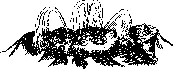 Аойя rsl01002921844__044.png