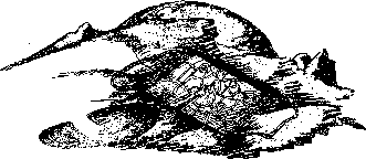 Аойя rsl01002921844__048.png