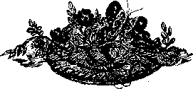 Аойя rsl01002921844__055.png