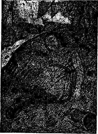 Аойя rsl01002921844__058.png