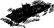 Аойя rsl01002921844__060.png