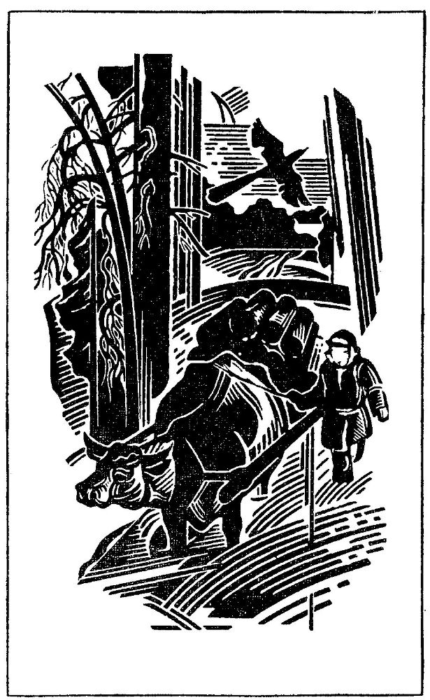 Вечера i_005.jpg