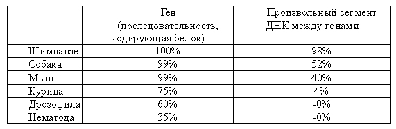 Доказательство Бога _5.1.jpg