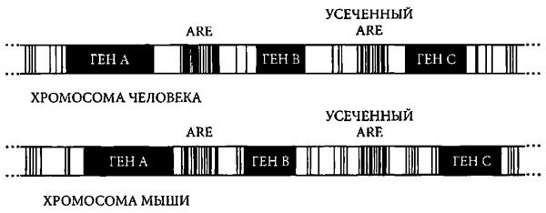 Доказательство Бога _3.jpg