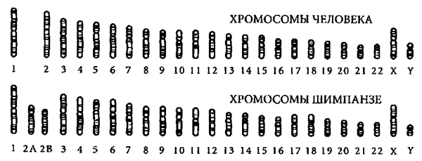 Доказательство Бога _4.jpg