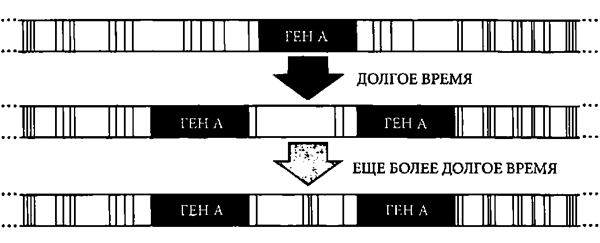 Доказательство Бога _5.jpg
