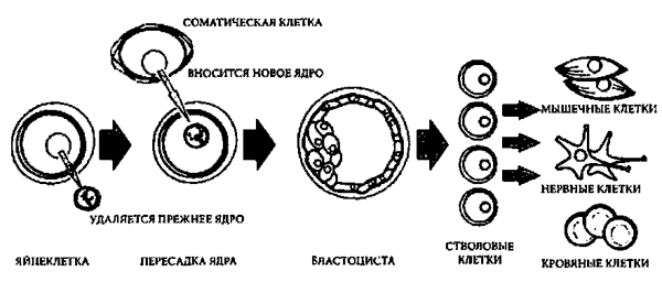 Доказательство Бога _6.jpg