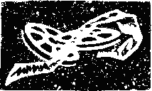 “Галатея” Untitled13.png