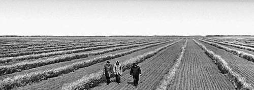 Большая Советская Энциклопедия i009-001-208317614.jpg