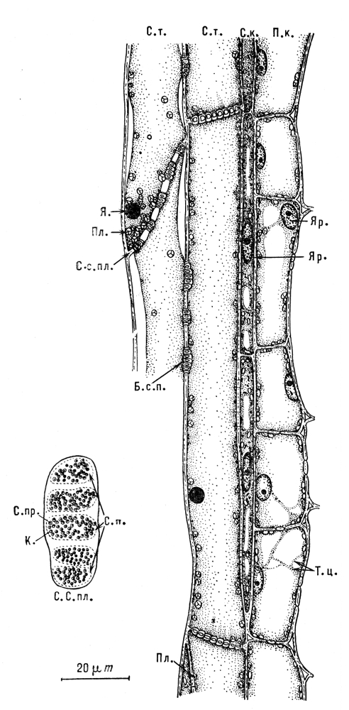 Большая Советская Энциклопедия i009-001-207335314.jpg