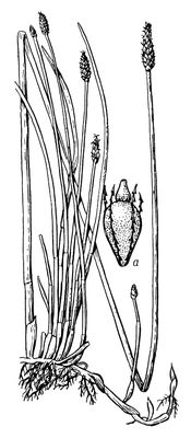 Большая Советская Энциклопедия i010-001-250803435.jpg