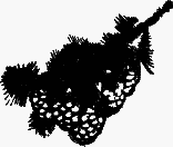 Затески к дому своему zatkds00.png