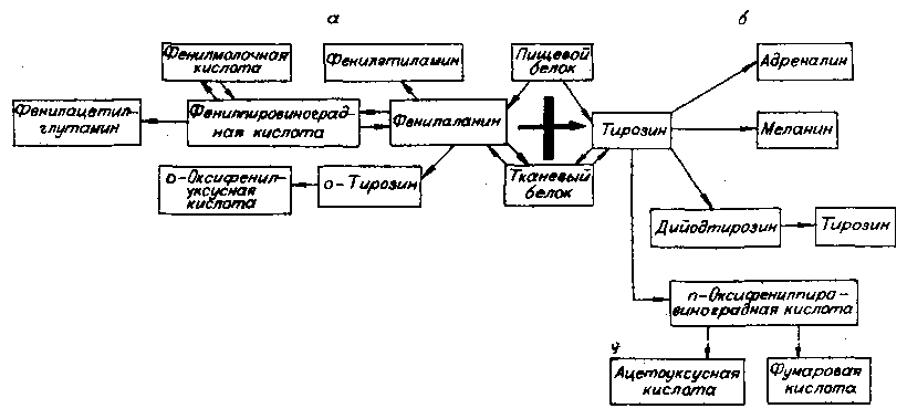 Что вы знаете о своей наследственности? i_023.png