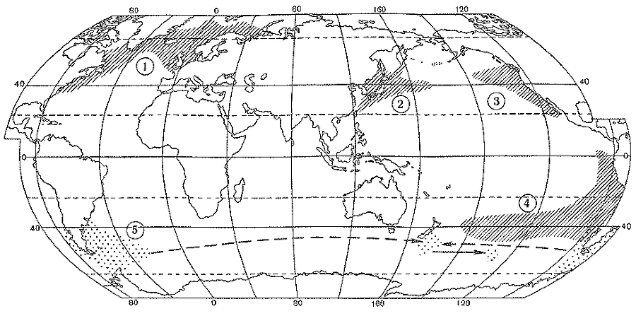 Рыбы открытого океана doc2fb_image_03000011.png