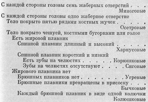 Рыбы Подмосковья image_14.jpg