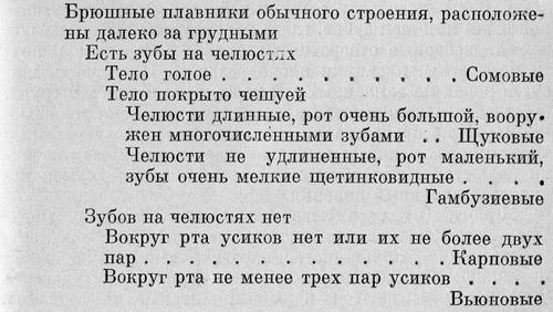 Рыбы Подмосковья image_15.jpg