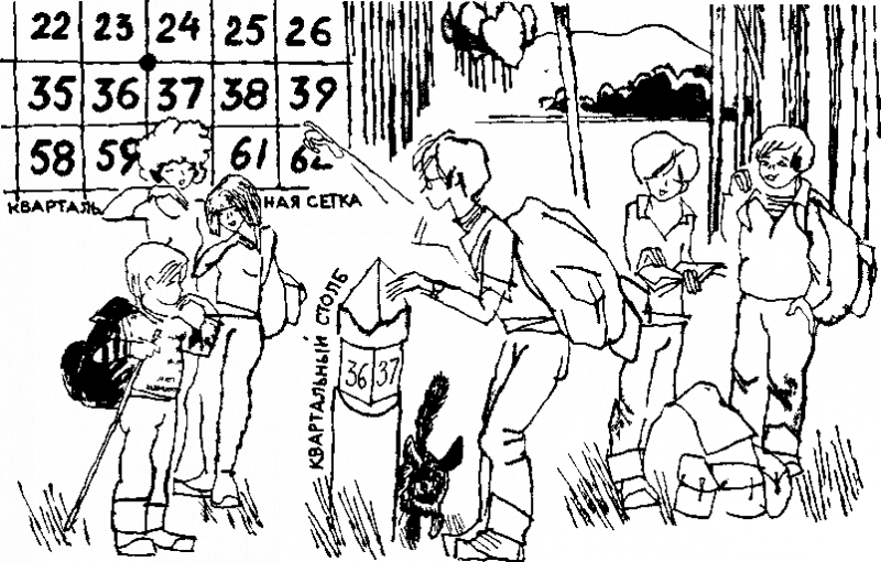 Дневник Толи Скворцова, путешественника и рыболова i_008.png
