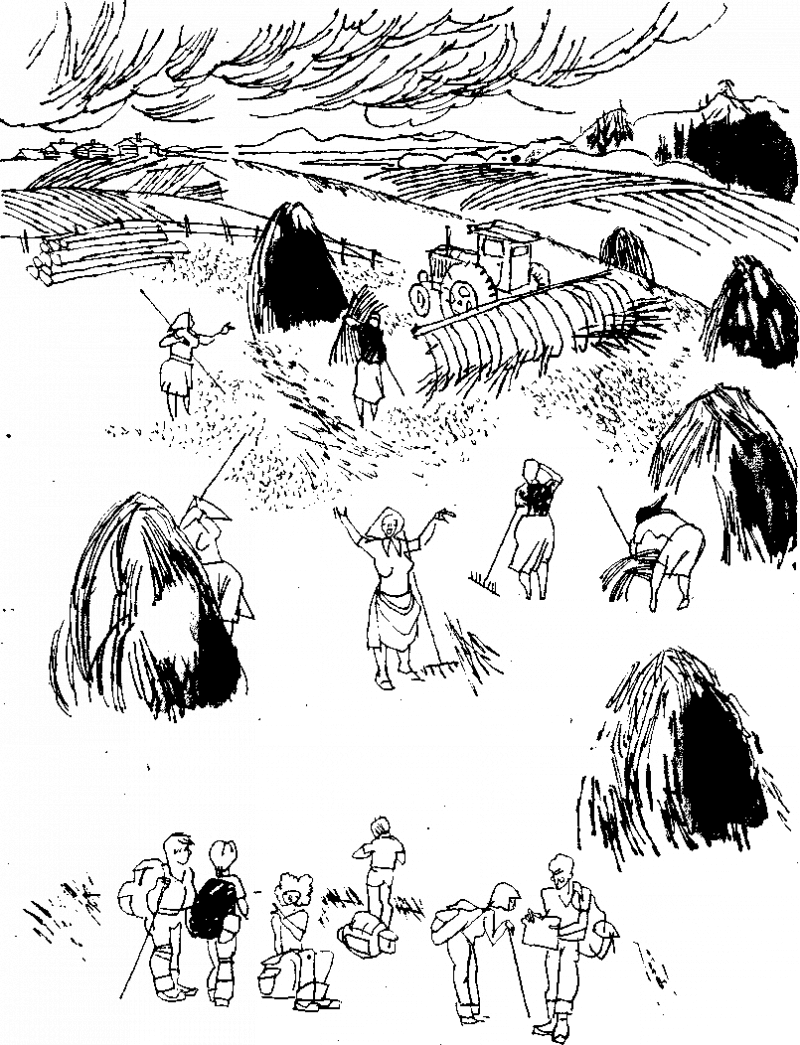 Дневник Толи Скворцова, путешественника и рыболова i_009.png