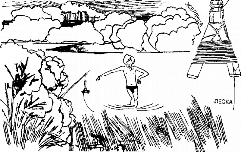 Дневник Толи Скворцова, путешественника и рыболова i_010.png
