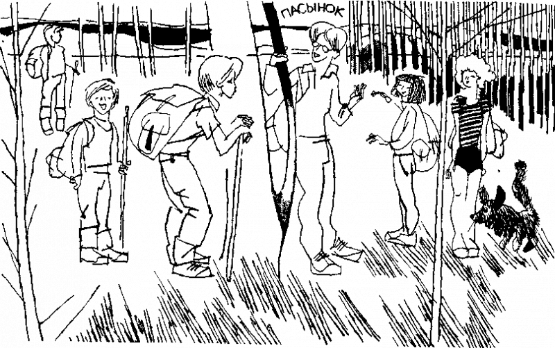 Дневник Толи Скворцова, путешественника и рыболова i_003.png