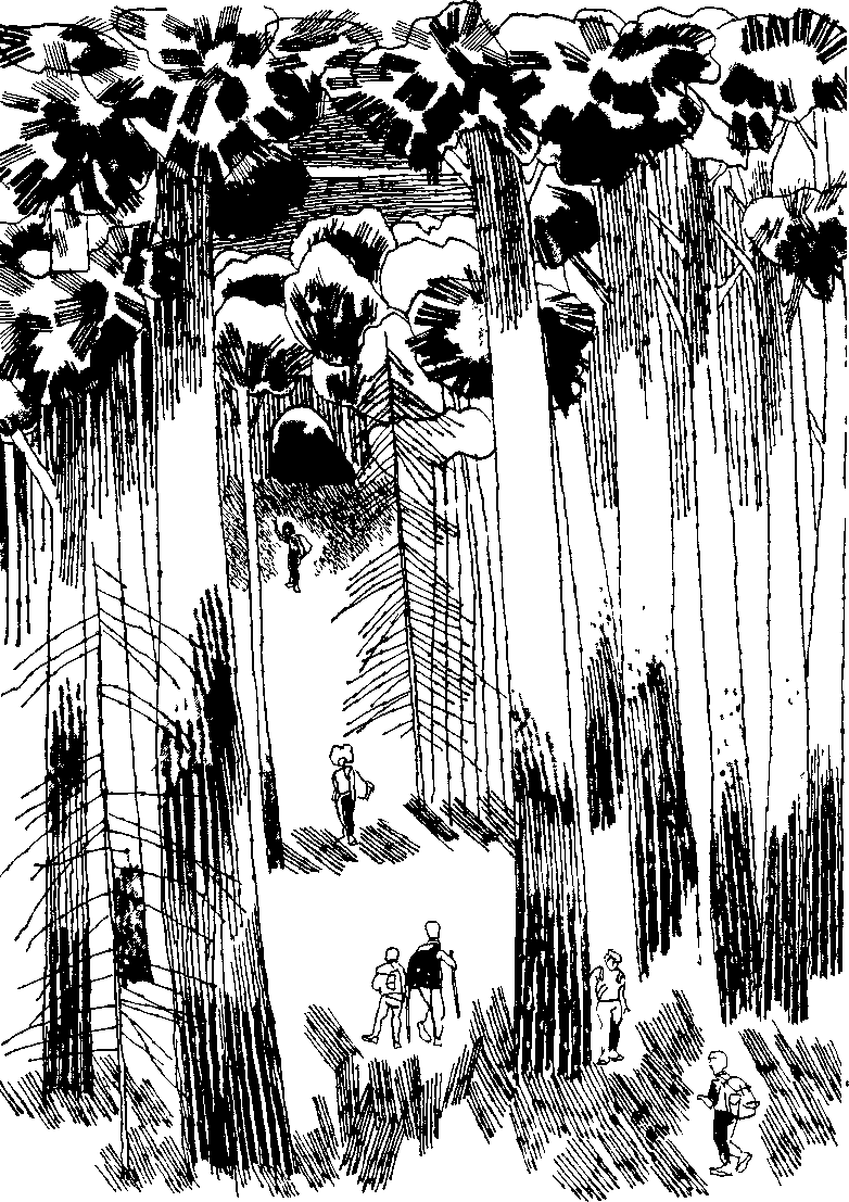 Дневник Толи Скворцова, путешественника и рыболова i_005.png