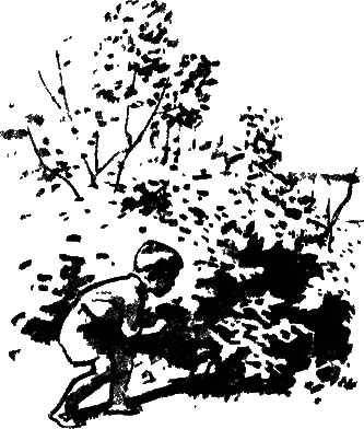 Сестренка i_002.png