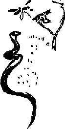 Тайна Рио де Оро i_028.png