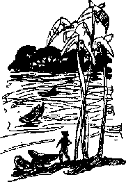 Тайна Рио де Оро i_047.png