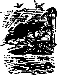 Тайна Рио де Оро i_051.png