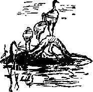 Тайна Рио де Оро i_056.png