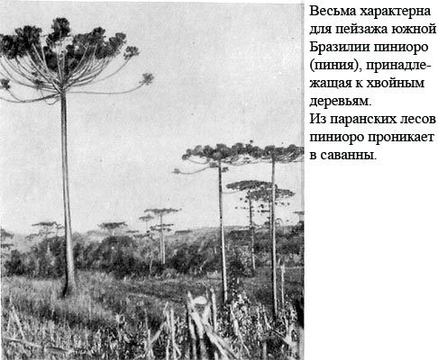 Тайна Рио де Оро i_063.jpg