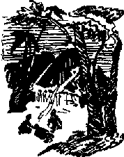 Тайна Рио де Оро i_009.png