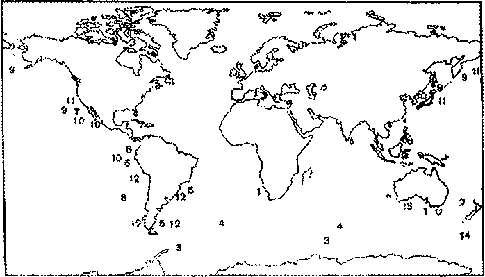 Морские львы и котики i_023.png