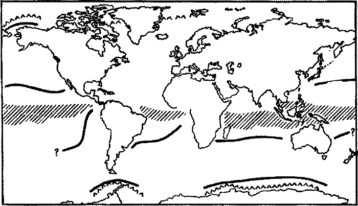 Морские львы и котики i_024.png