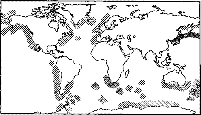 Морские львы и котики i_026.png