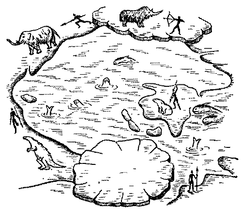 Морские львы и котики i_029.png