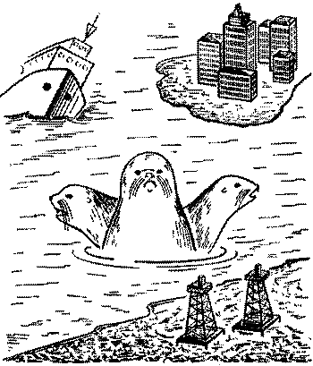 Морские львы и котики i_030.png
